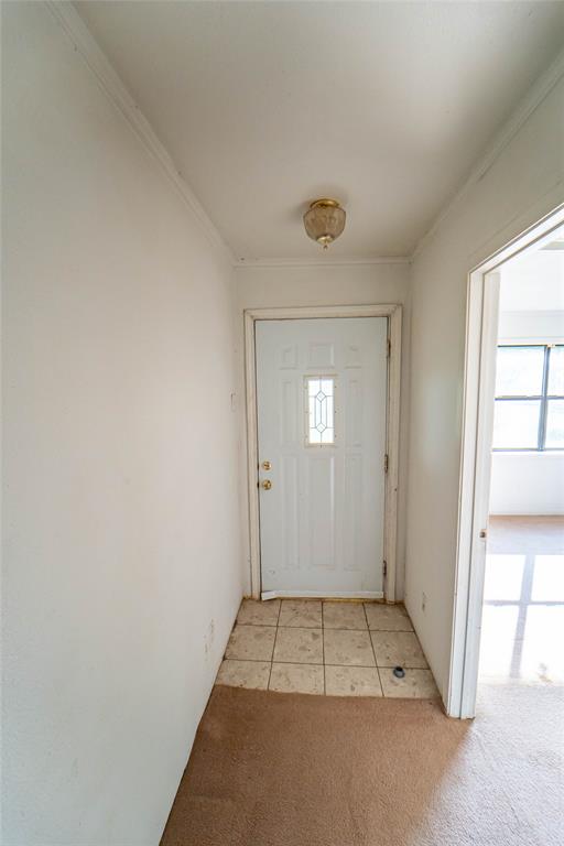 674 County Road 214 Property Photo 24