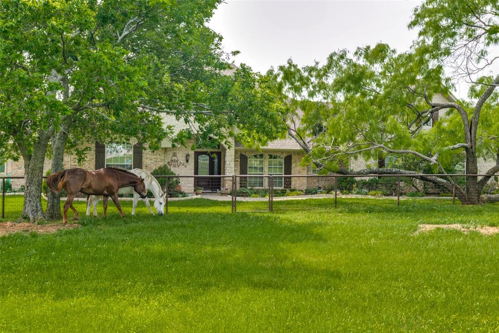 7791 Chasewood Lane Property Photo 28