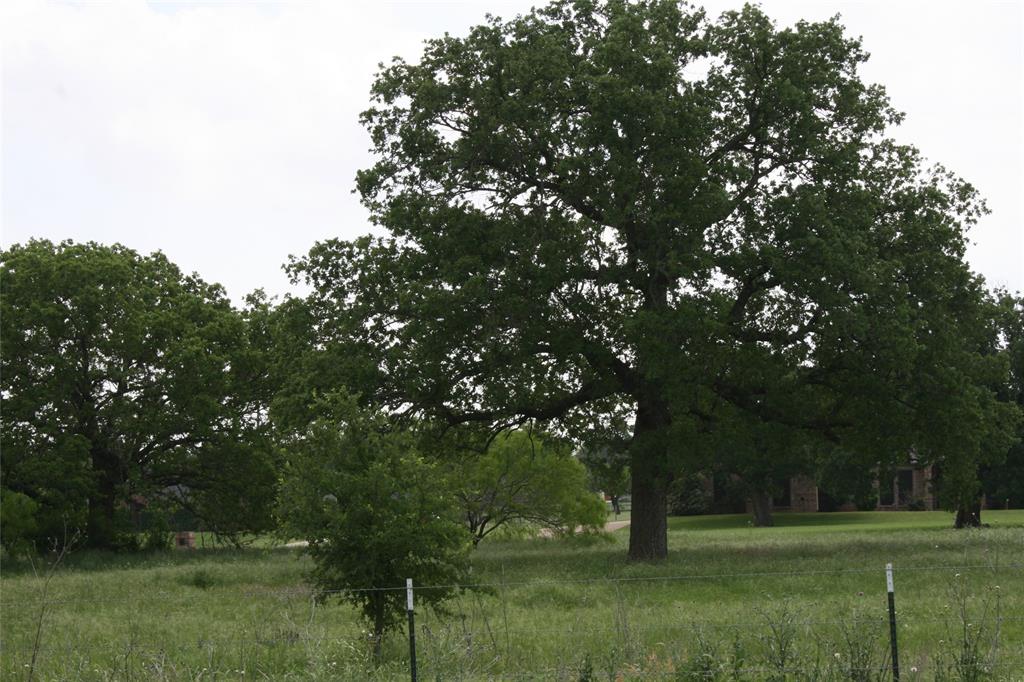 190 Brazos West Drive Property Photo 4