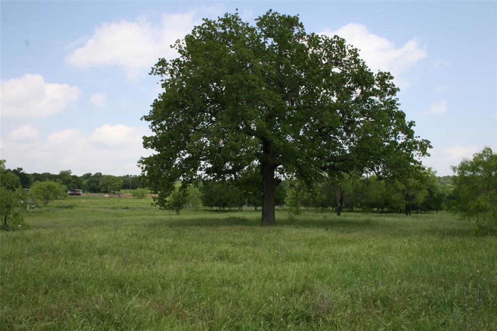 190 Brazos West Drive Property Photo 5