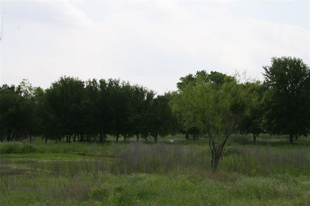 190 Brazos West Drive Property Photo 8