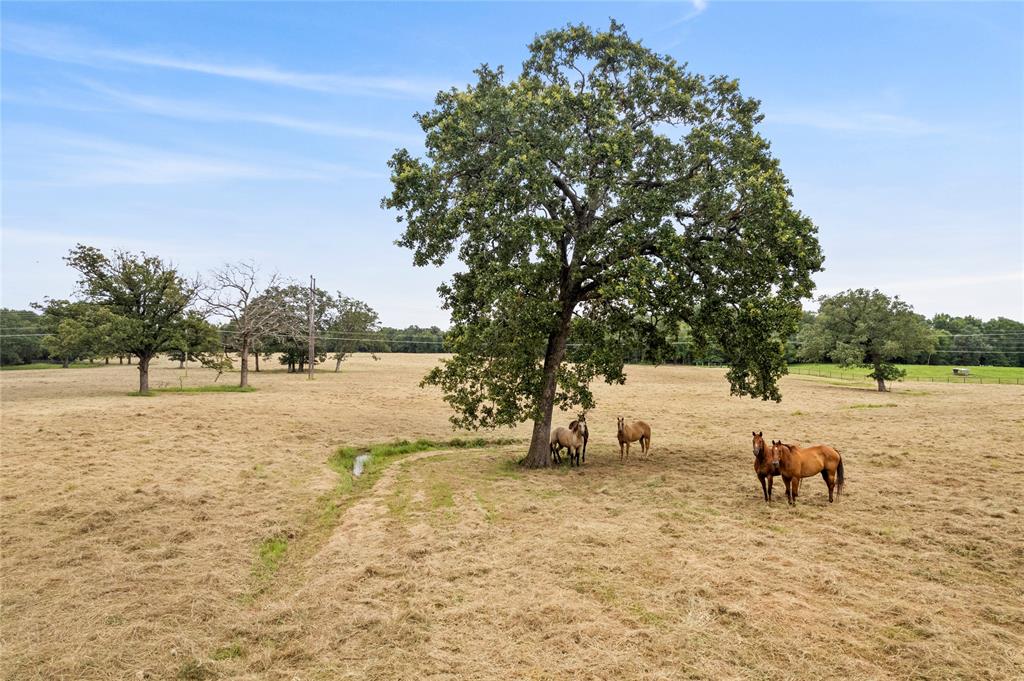 2900 Interstate 30 Property Photo 15