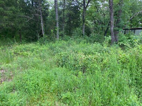 220 Bowie Street Property Photo 1