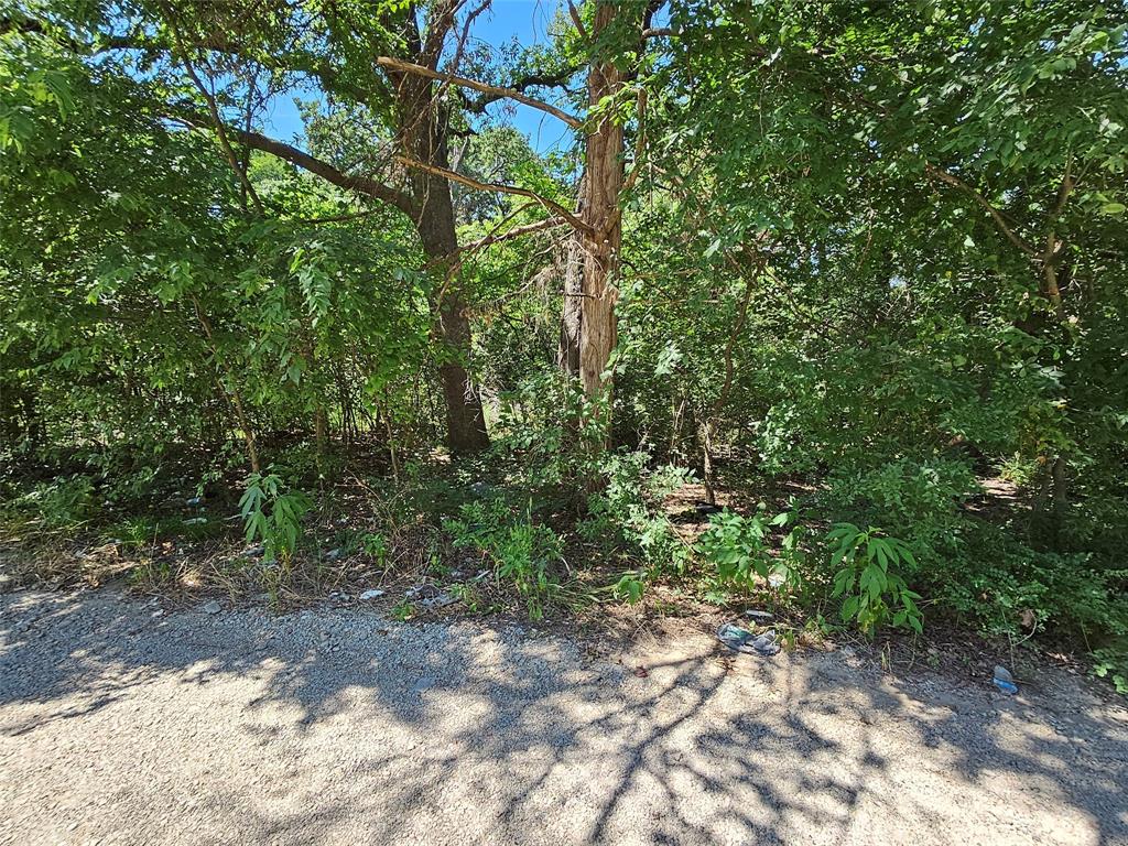Lot 1 Bird Hill Drive Property Photo 1