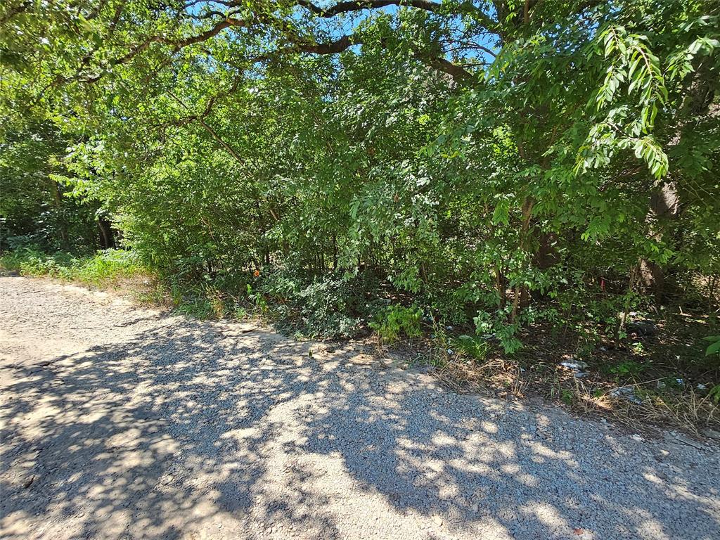 Lot 1 Bird Hill Drive Property Photo 2