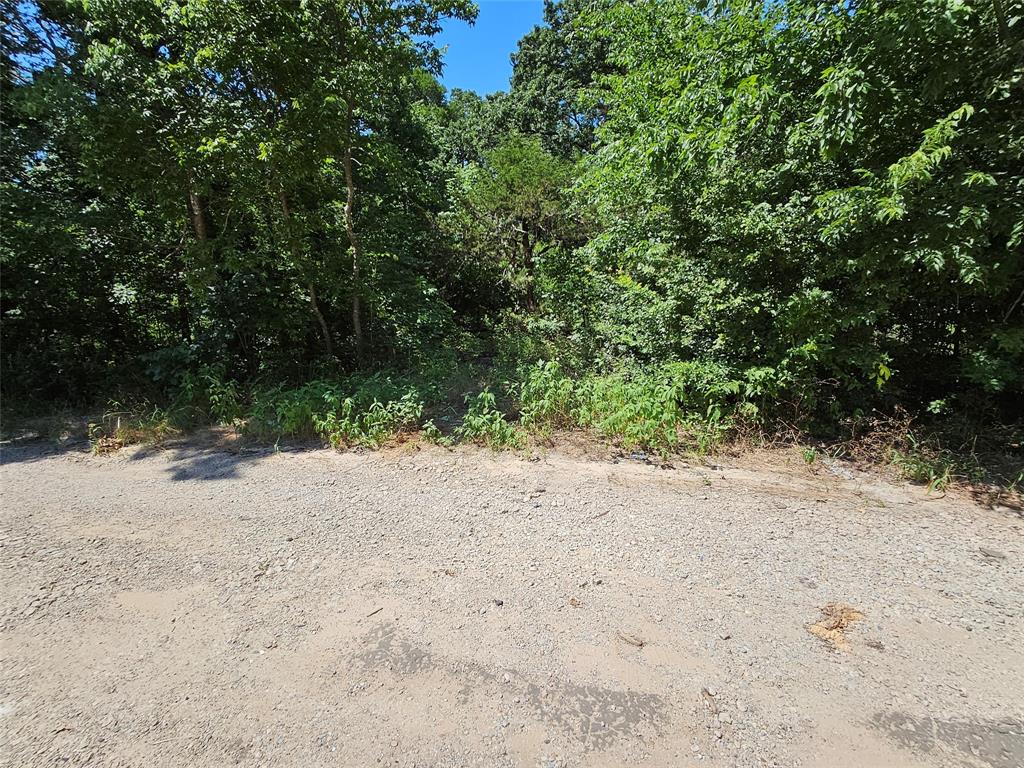 Lot 1 Bird Hill Drive Property Photo 3