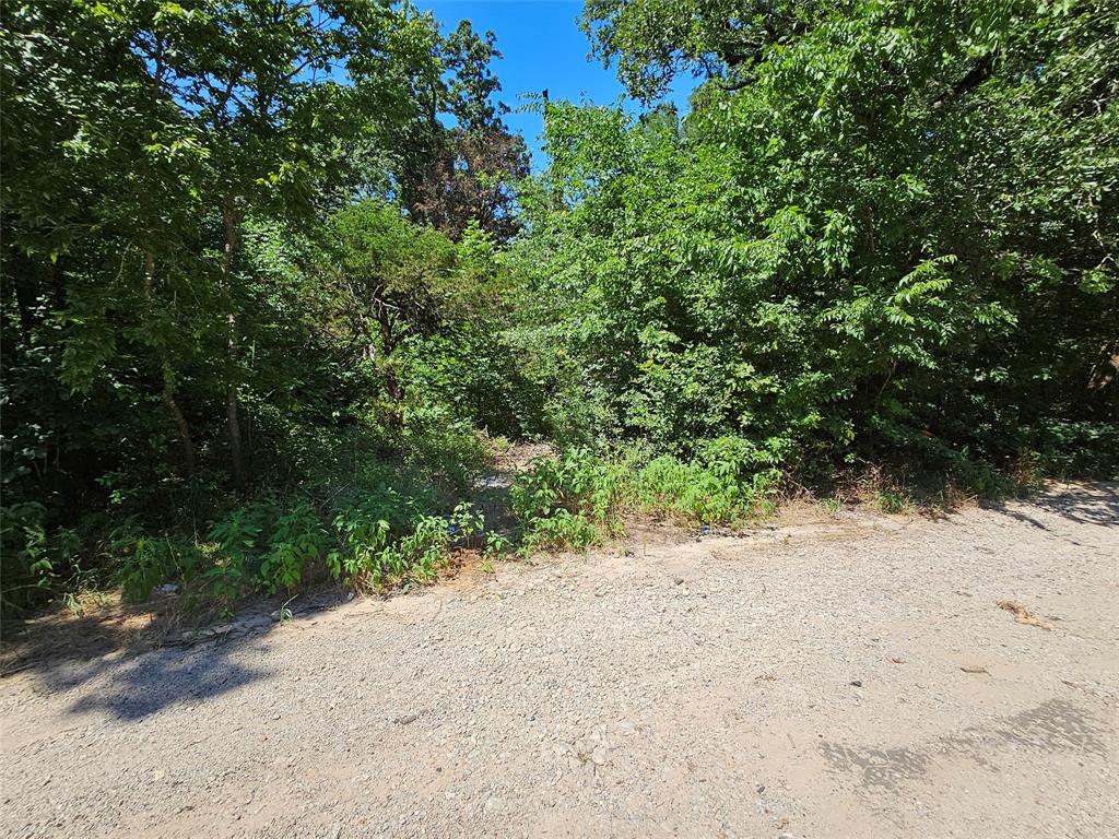 Lot 1 Bird Hill Drive Property Photo 4