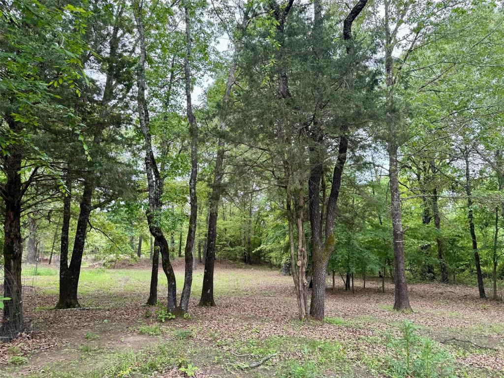 21179 Standridge Property Photo 15