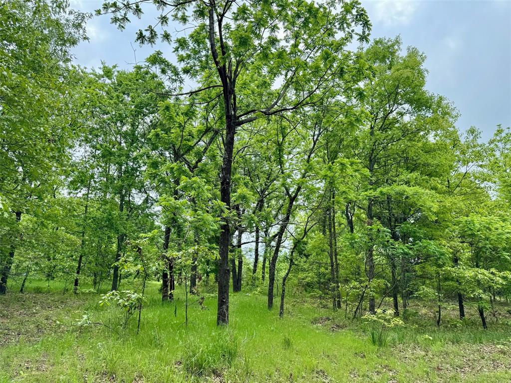21179 Standridge Property Photo 16
