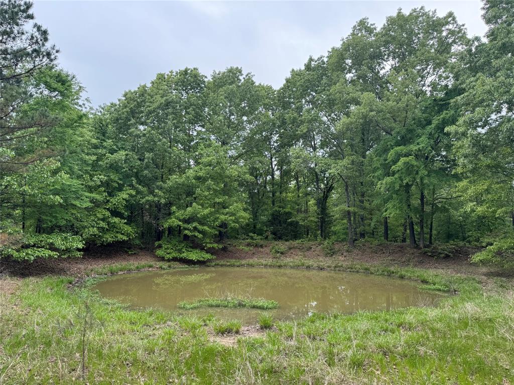 21179 Standridge Property Photo 17