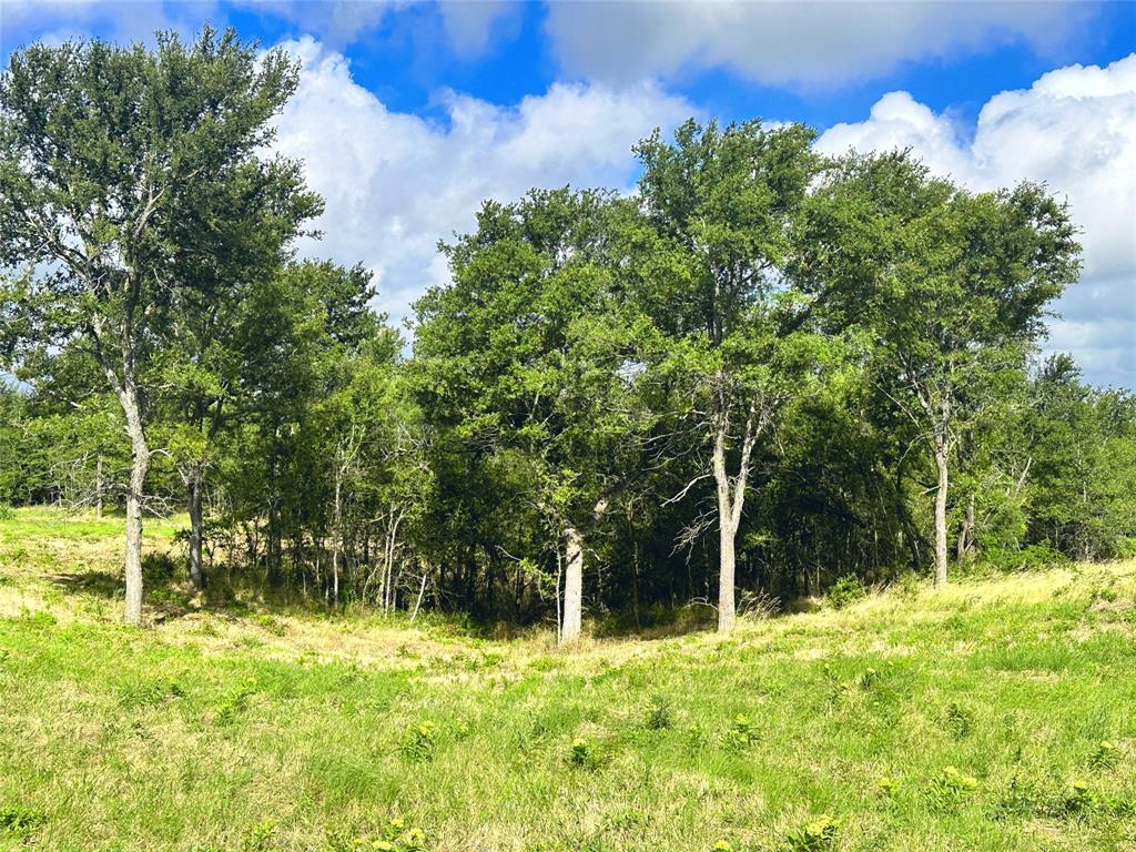 Lot 62 & Bs #20 Sunset Court Property Photo 3
