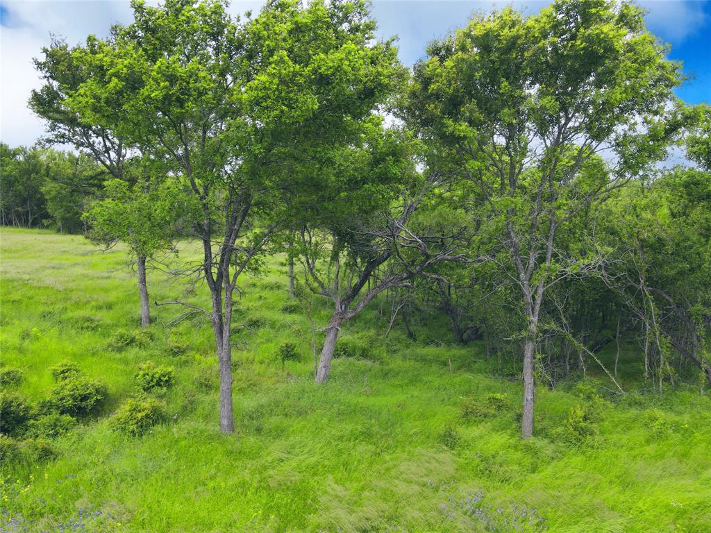 Lot 62 & Bs #20 Sunset Court Property Photo 10