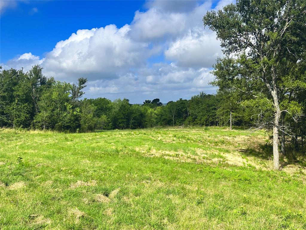Lot 62 & Bs #20 Sunset Court Property Photo 17