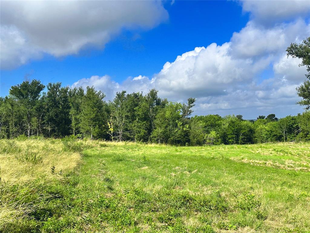 Lot 62 & Bs #20 Sunset Court Property Photo 19