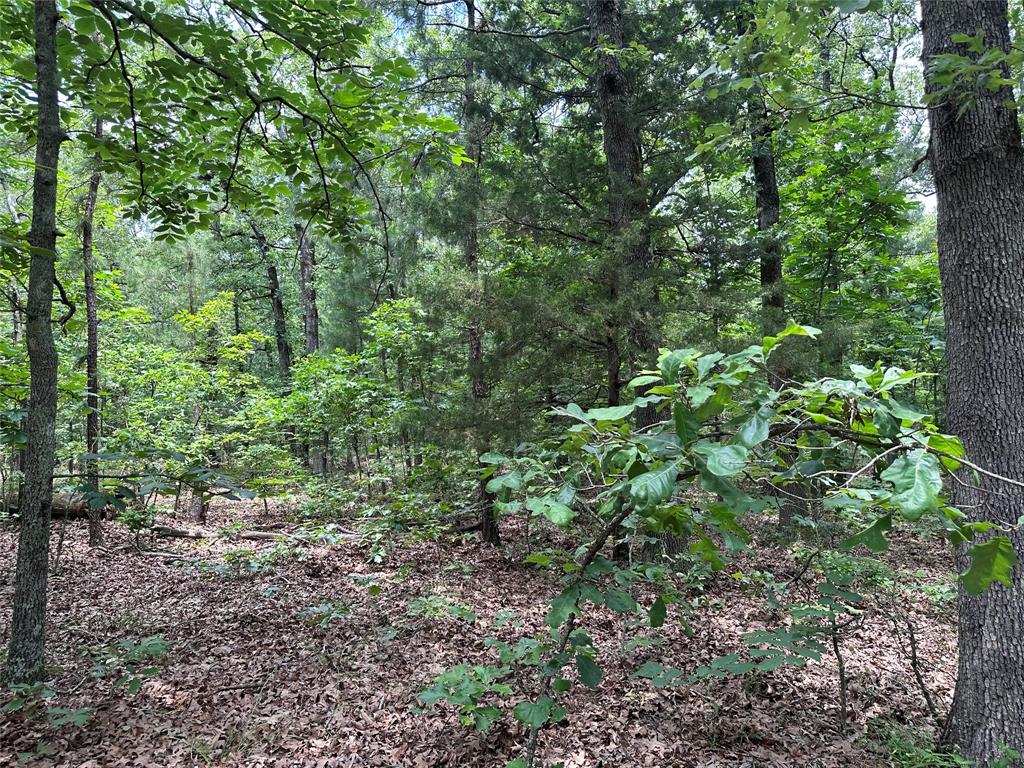 Tbd County Road 2131 Property Photo