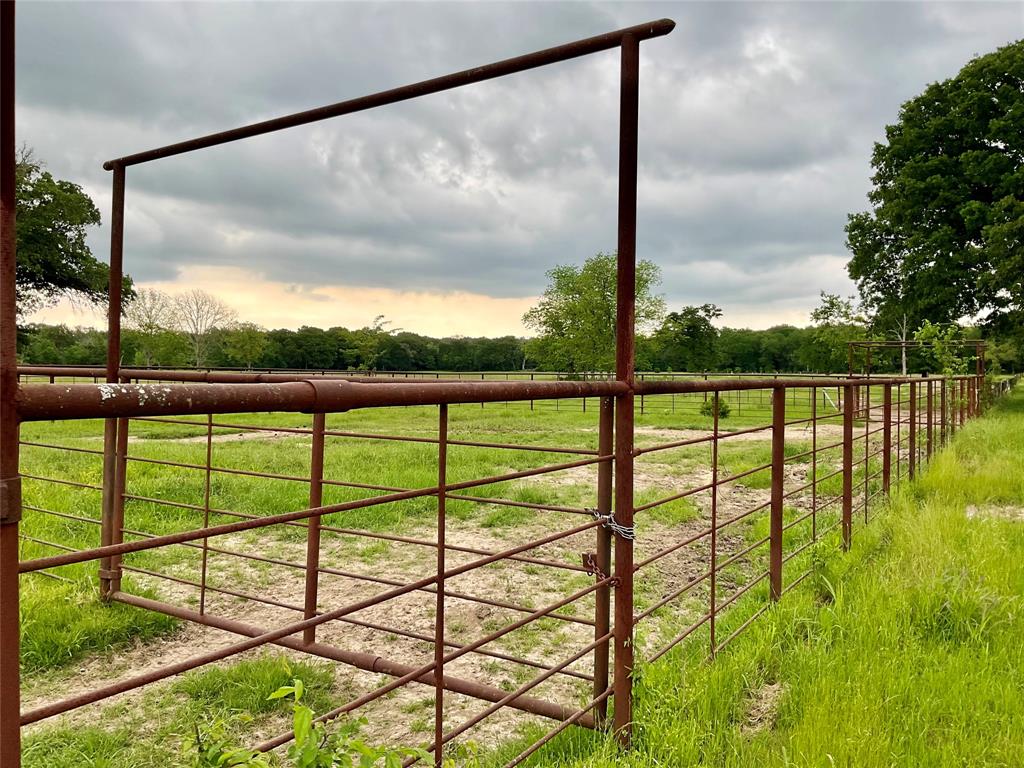 Tbd Fm 196 Property Photo 4