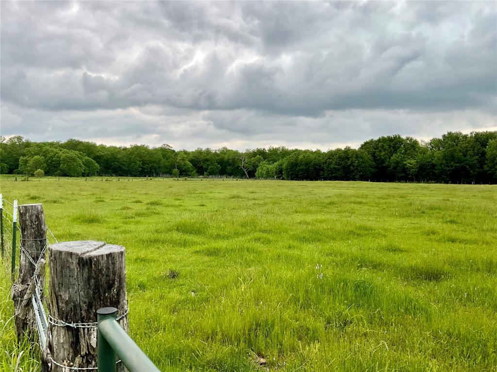 Tbd Fm 196 Property Photo 7