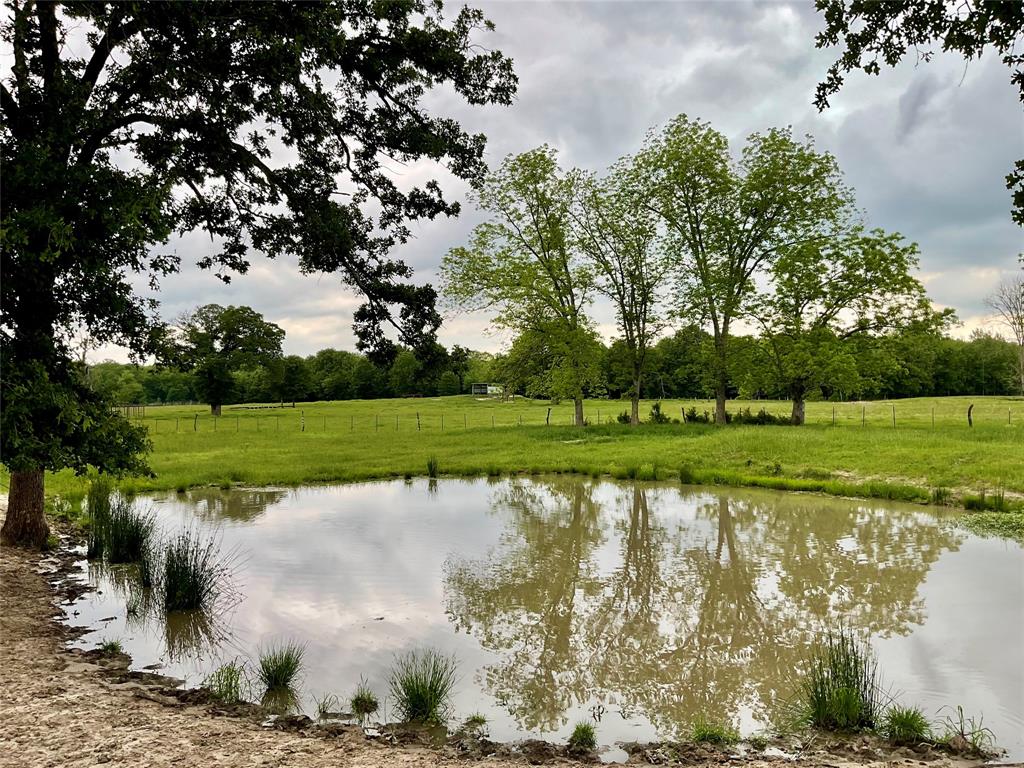 Tbd Fm 196 Property Photo 8