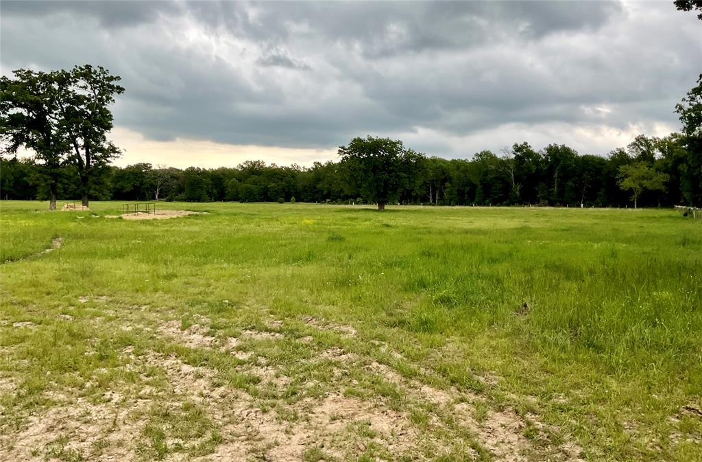 Tbd Fm 196 Property Photo 9