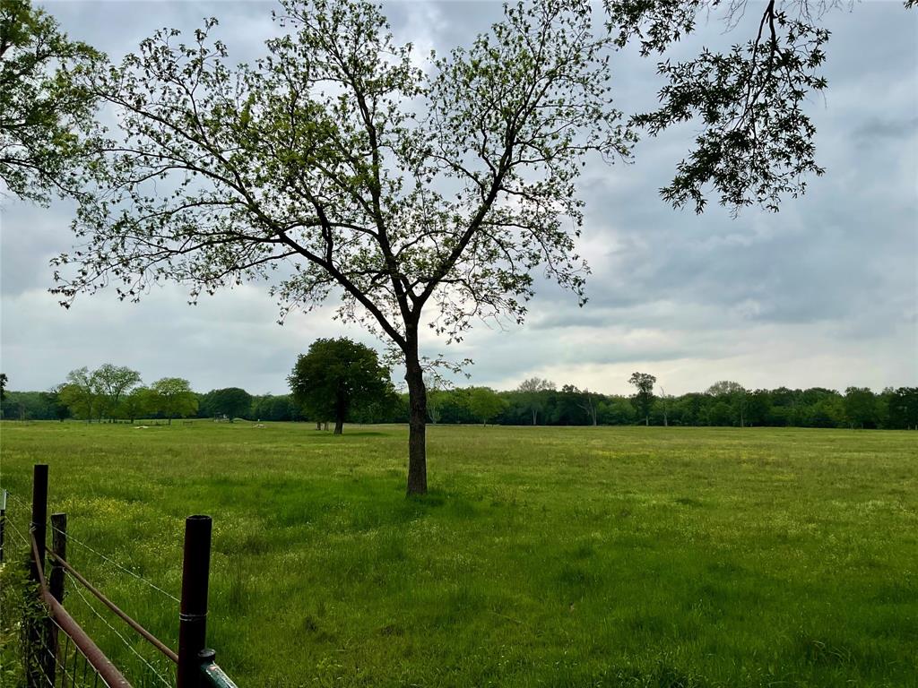 Tbd Fm 196 Property Photo 14