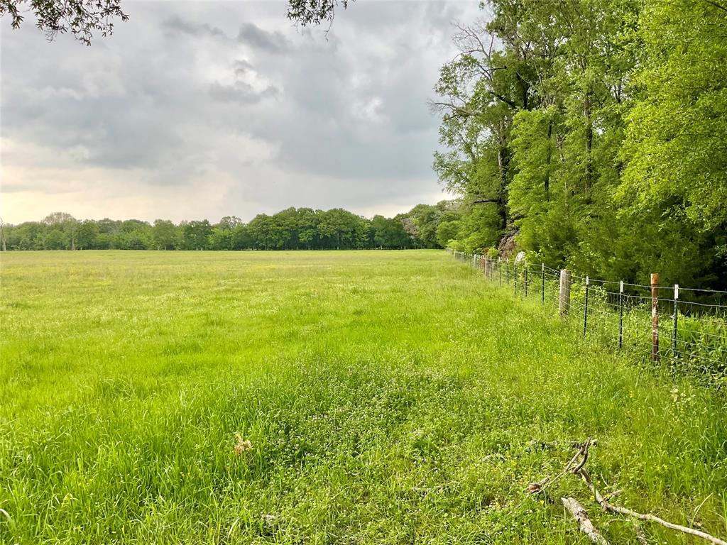 Tbd Fm 196 Property Photo 16