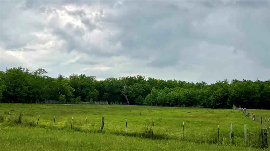Tbd Fm 196 Property Photo 18