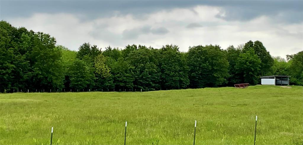 Tbd Fm 196 Property Photo 19