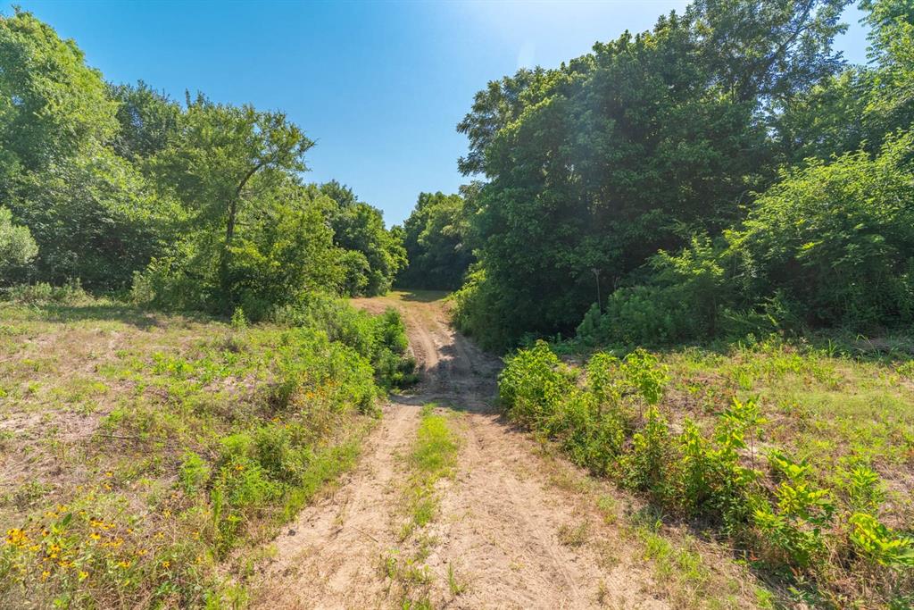 0000 County Road 3567 Property Photo 18