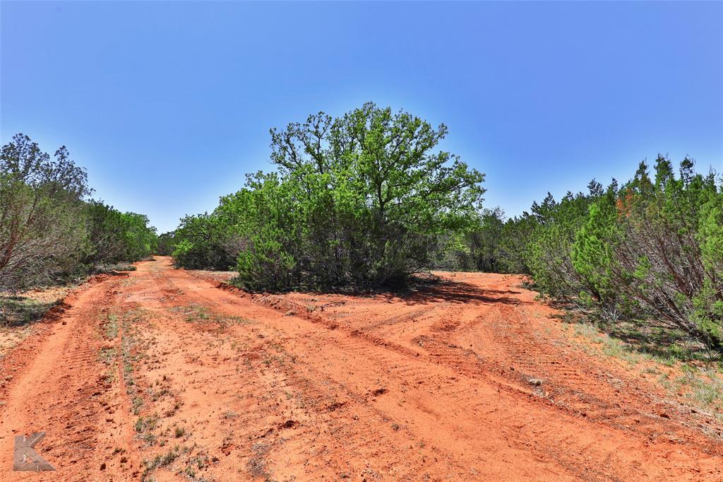 Tbd Cr 207 Property Photo 5