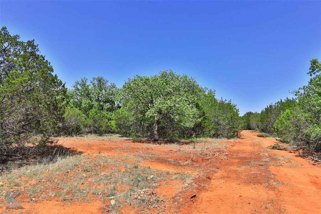 Tbd Cr 207 Property Photo 10