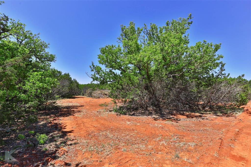 Tbd Cr 207 Property Photo 11