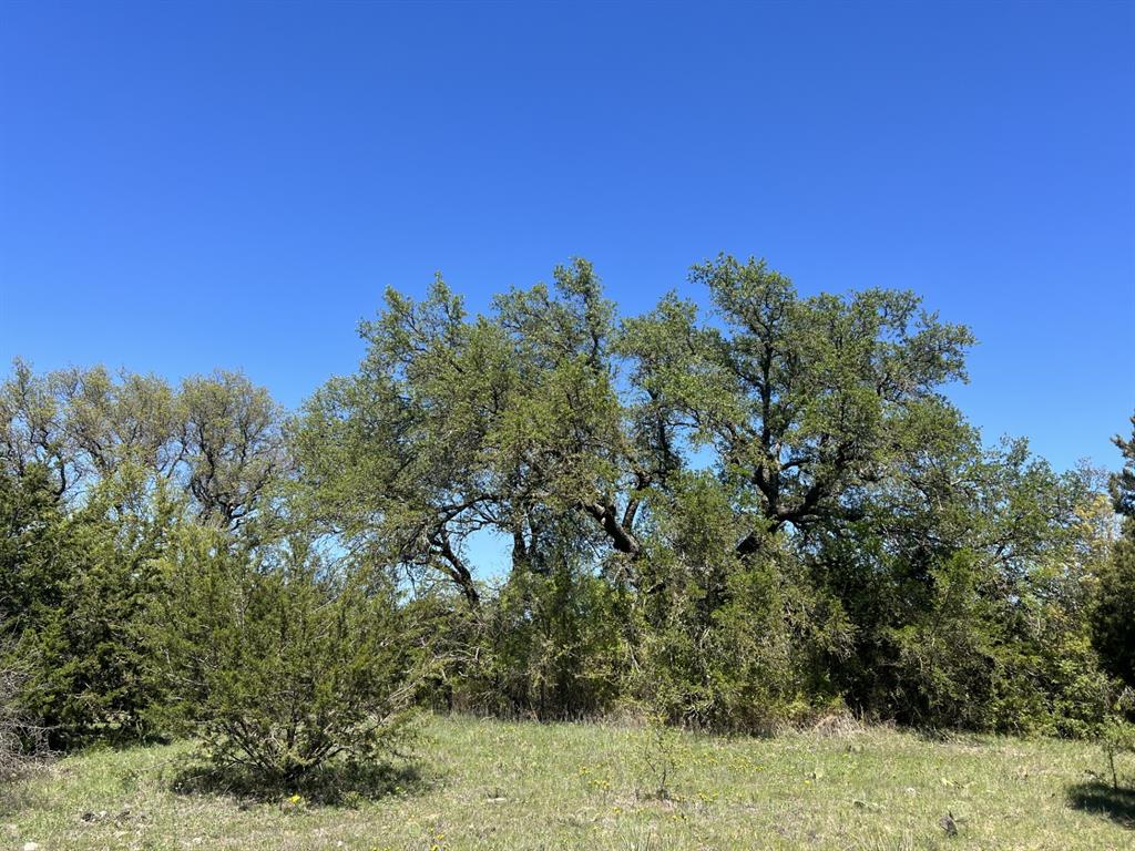 Tbd Cr 434 Property Photo 7