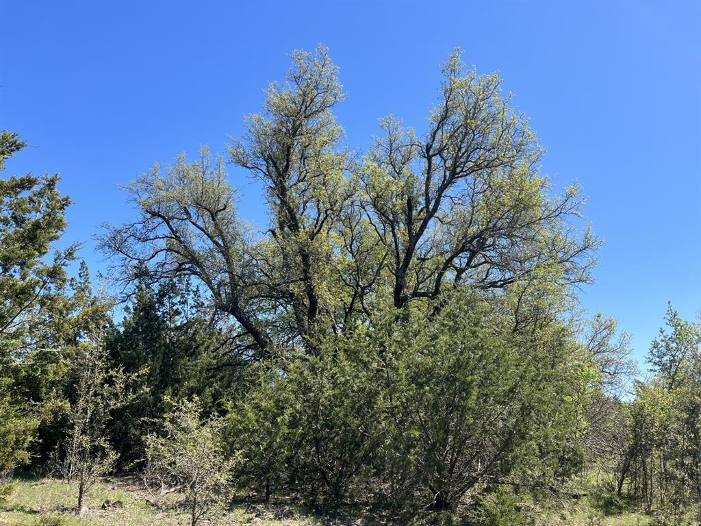 Tbd Cr 434 Property Photo 12