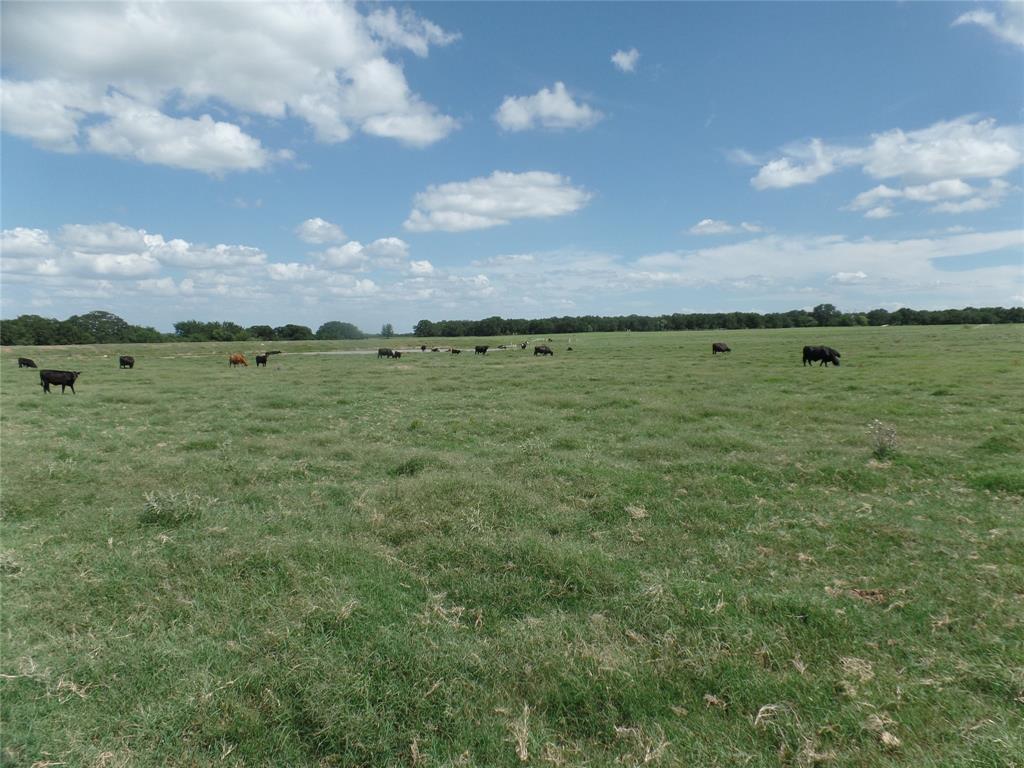 Tbd Fm 3025 Property Photo 1