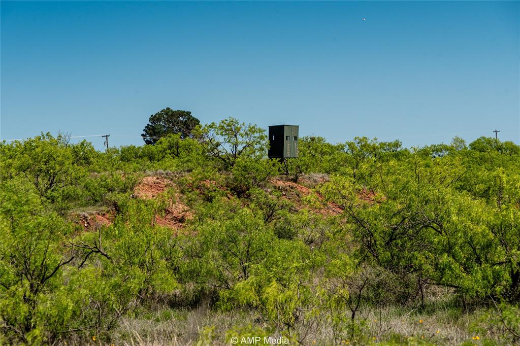 Tbd Fm 600 Property Photo 3