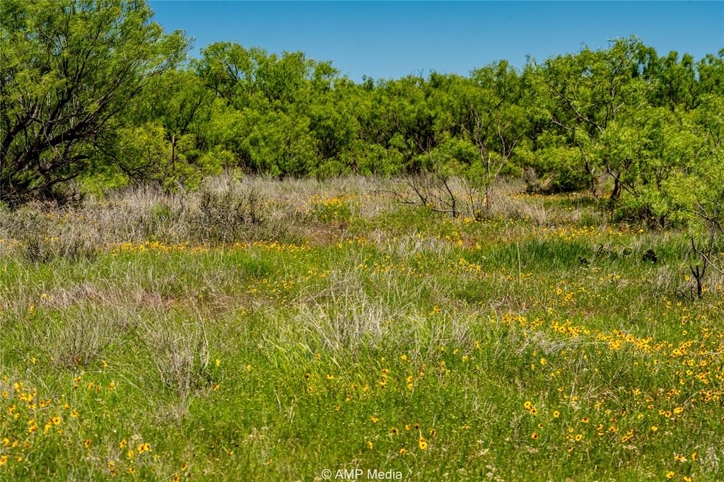 Tbd Fm 600 Property Photo 4