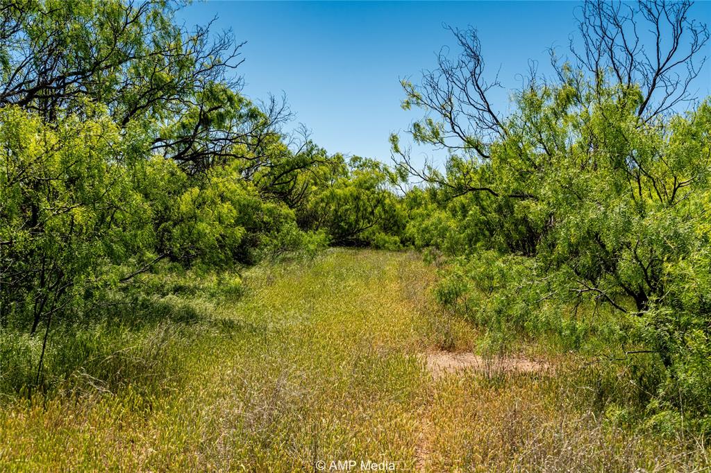 Tbd Fm 600 Property Photo 7