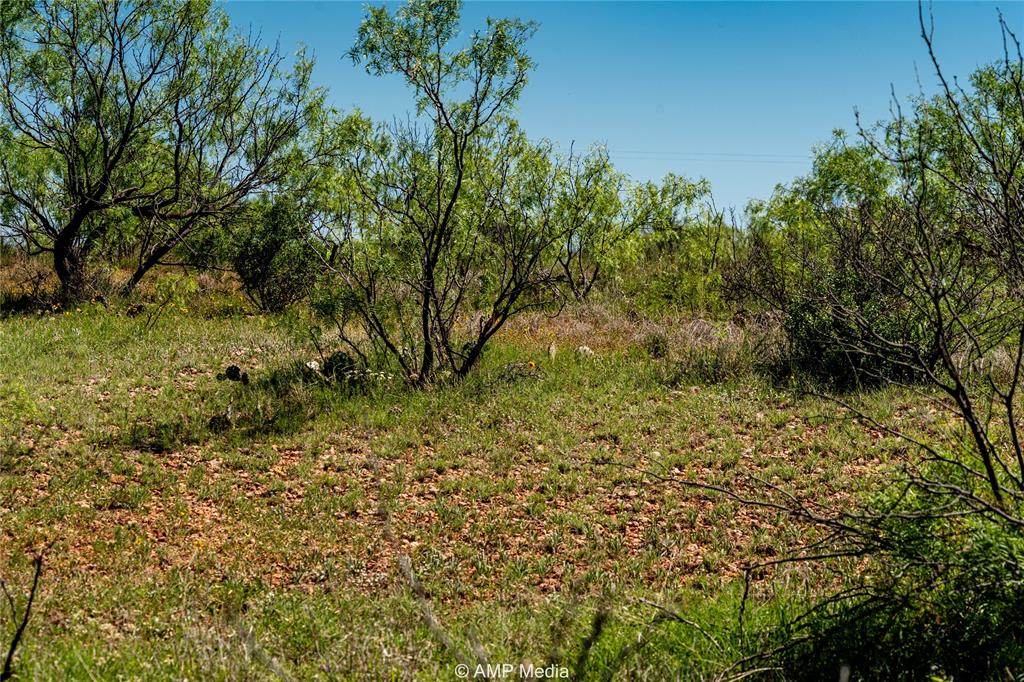 Tbd Fm 600 Property Photo 17