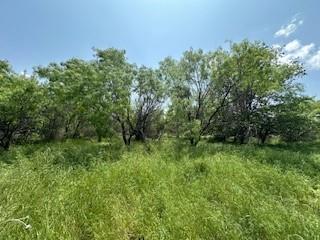 401 Old Comanche Road Property Photo 5