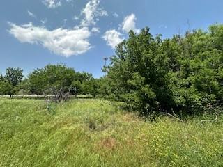 401 Old Comanche Road Property Photo 6
