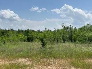 401 Old Comanche Road Property Photo 15