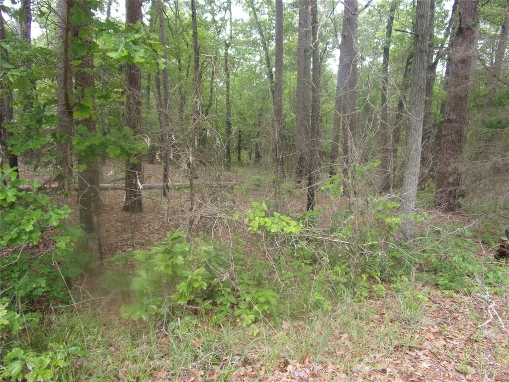 326 Briar Valley Drive Property Photo 1