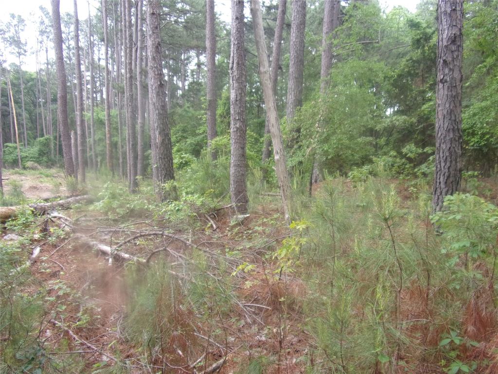 326 Briar Valley Drive Property Photo 2