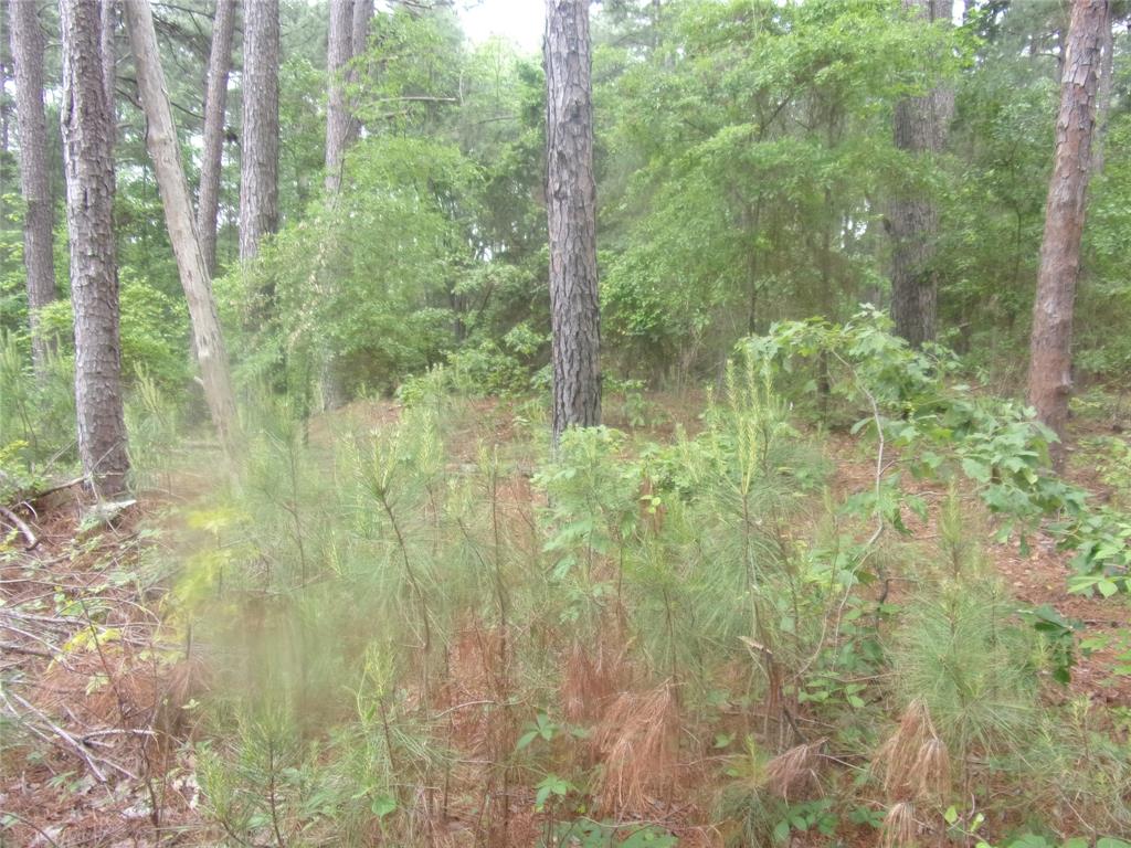 326 Briar Valley Drive Property Photo 3