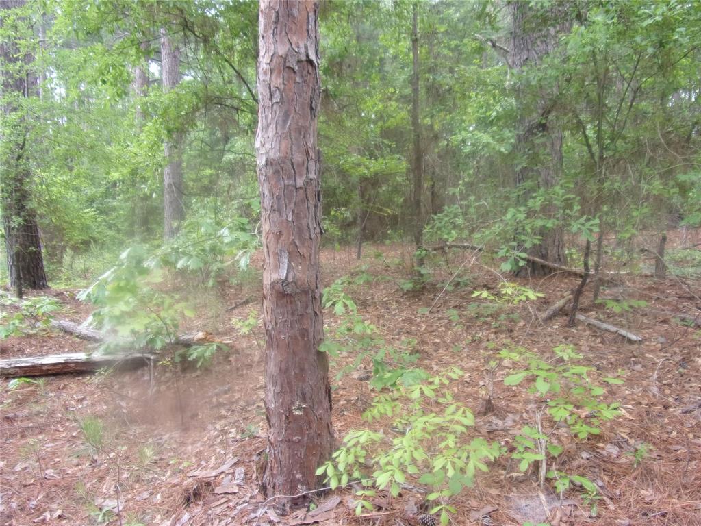 326 Briar Valley Drive Property Photo 4