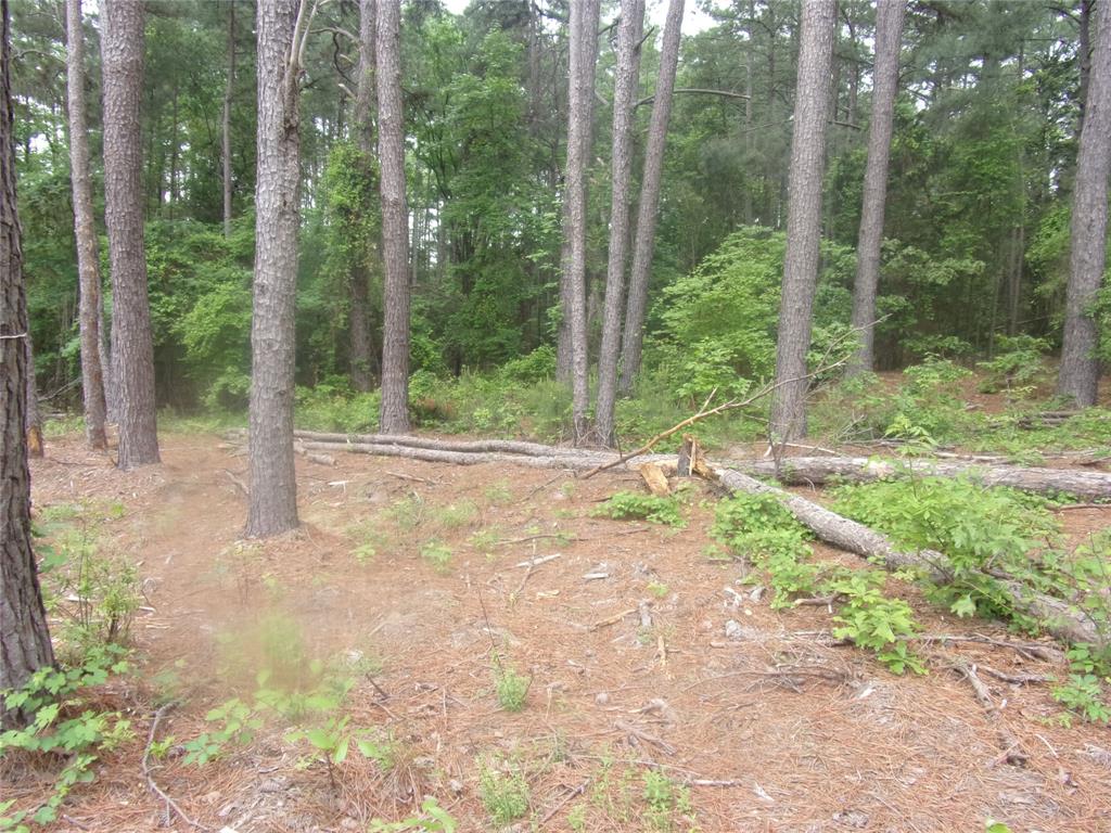 326 Briar Valley Drive Property Photo 5