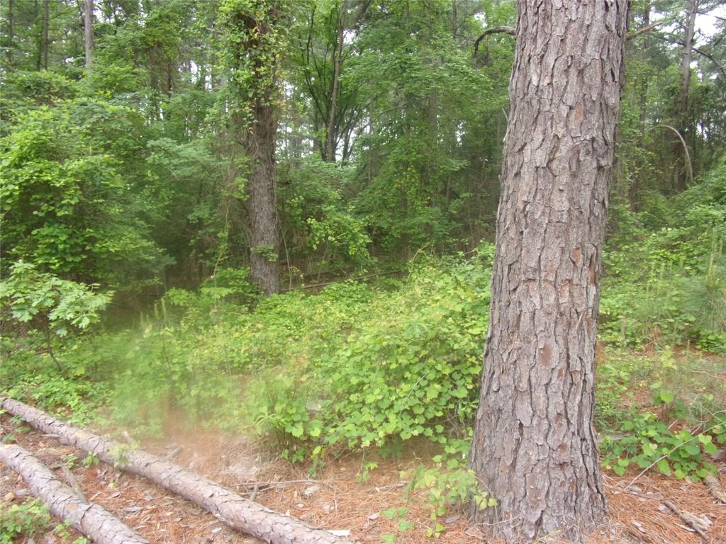 326 Briar Valley Drive Property Photo 6