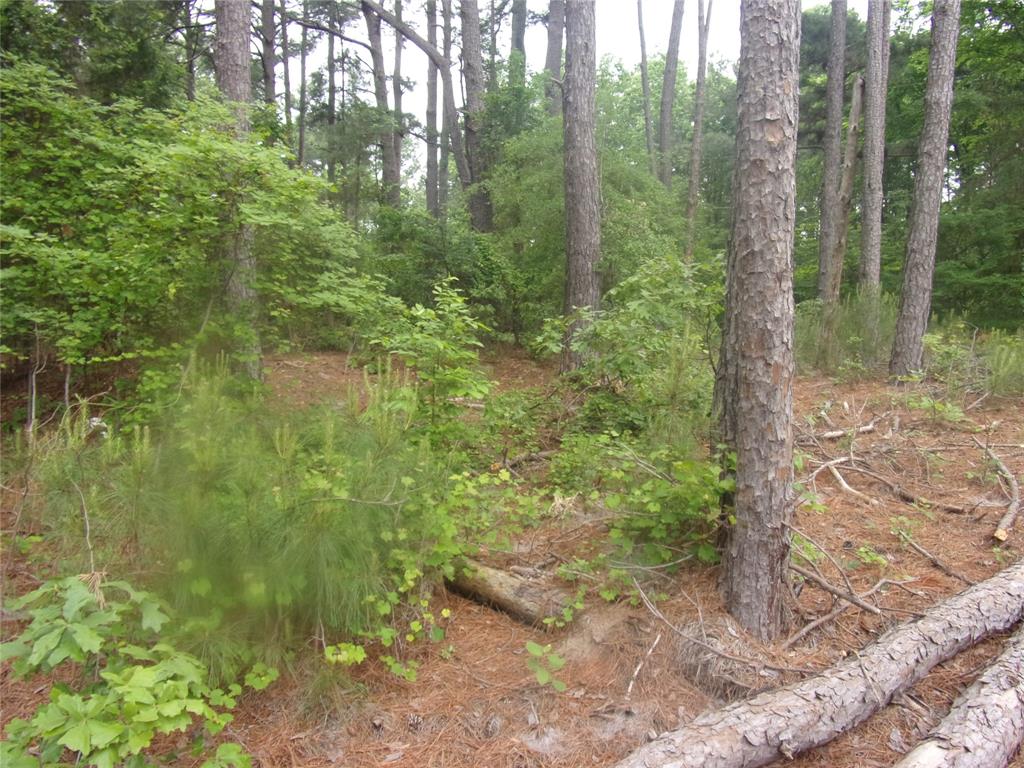 326 Briar Valley Drive Property Photo 7