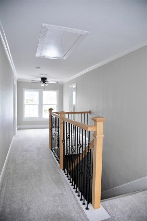 402 Munson Street Property Photo 39