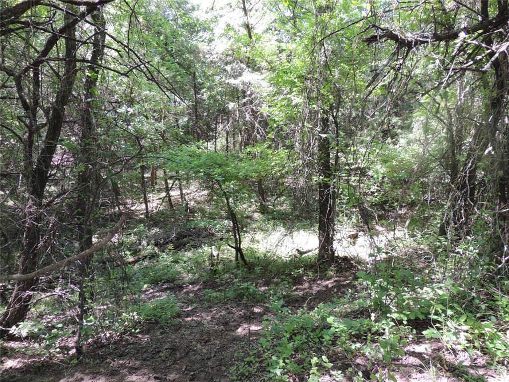 9324 Fm 898 Property Photo 3